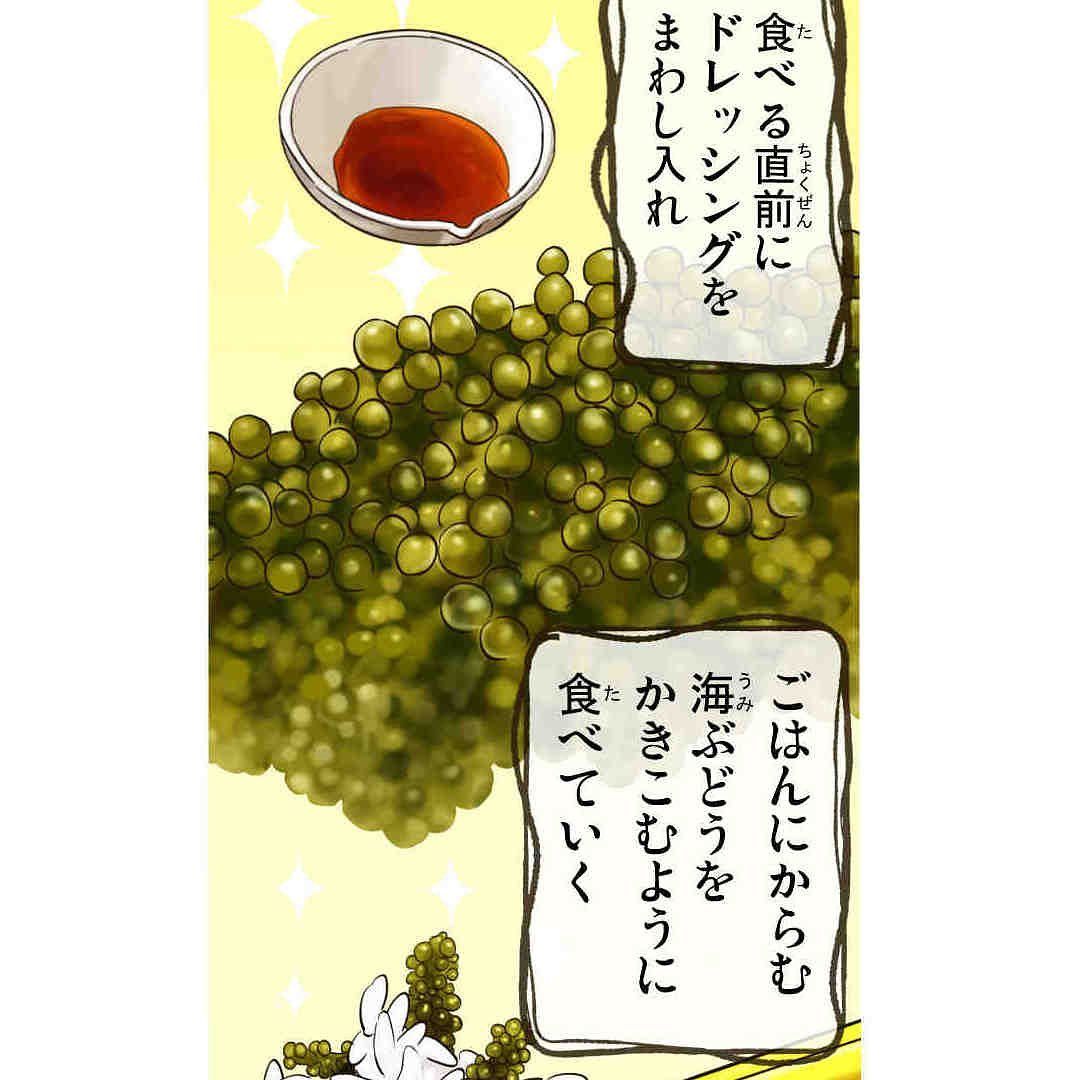 13【海ぶどう！ナーフィン食べてね～】(※もっと食べてね～) 漫画/うふそー一族 口の中でプチプチはじける磯の香りを刺身感覚でドウゾ！！  ↓サイトで無料で読めます https://www.okiota.jp/uhuso-013/  ＊漫画の詳細はプロフィールのリンクから【おきオタ！】をチェック ...