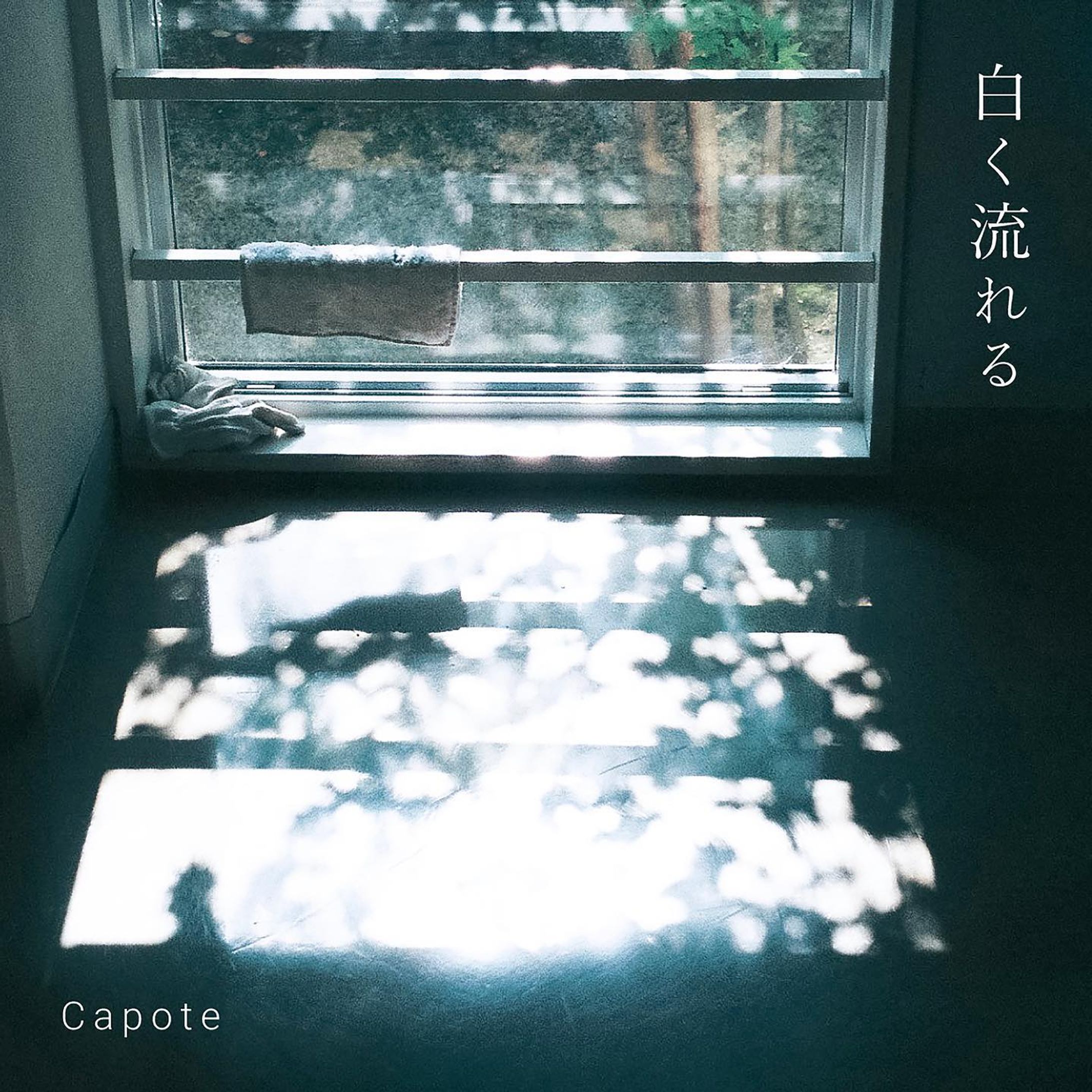 白く流れる/おストロース（旧名Capote）-1