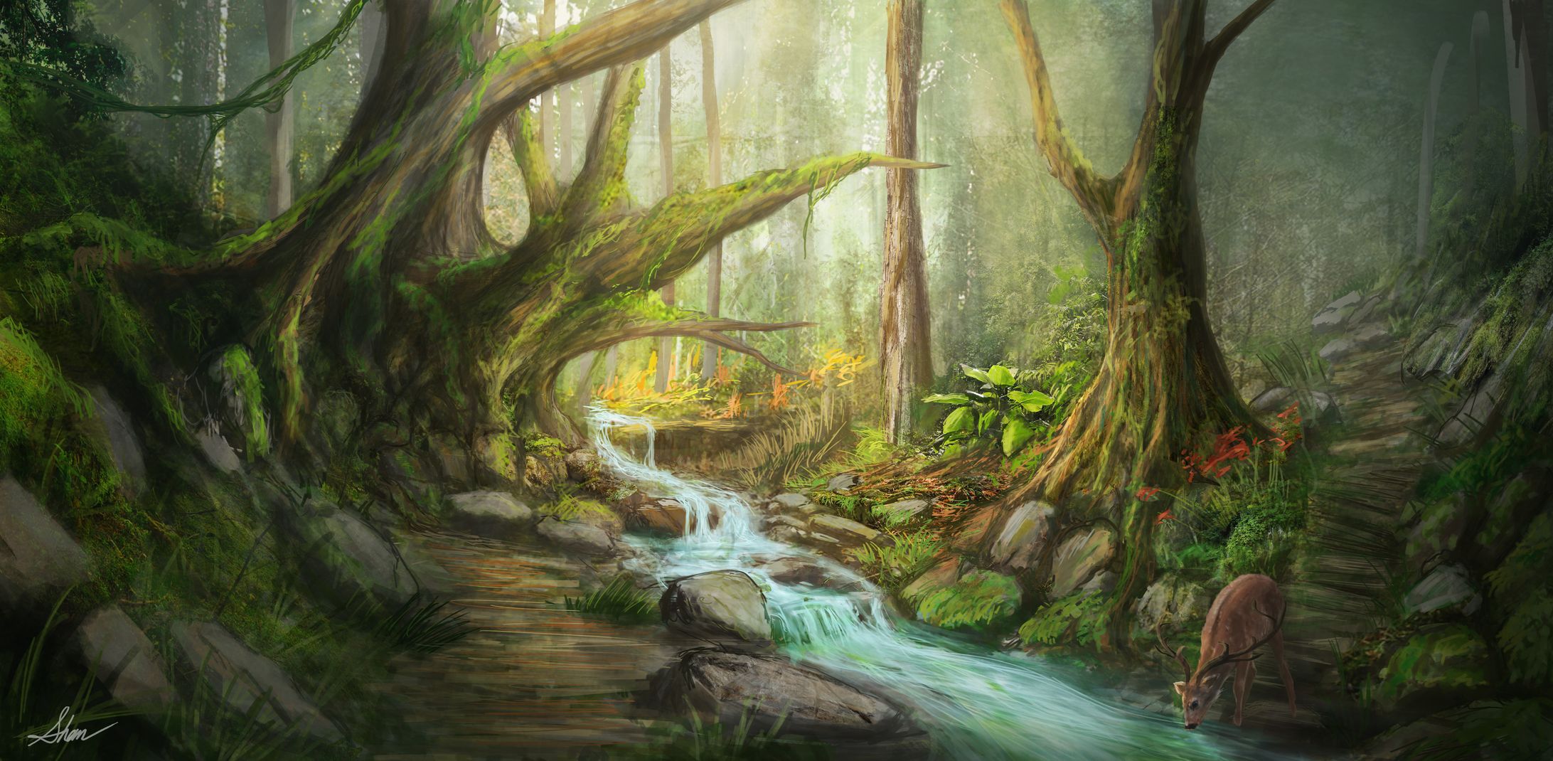 forest-1