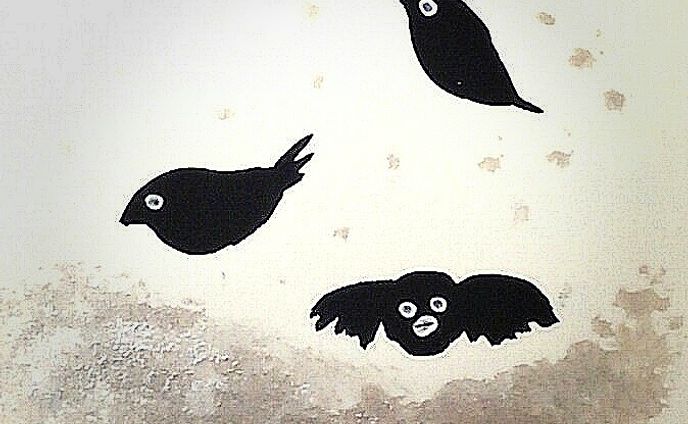 Black birds