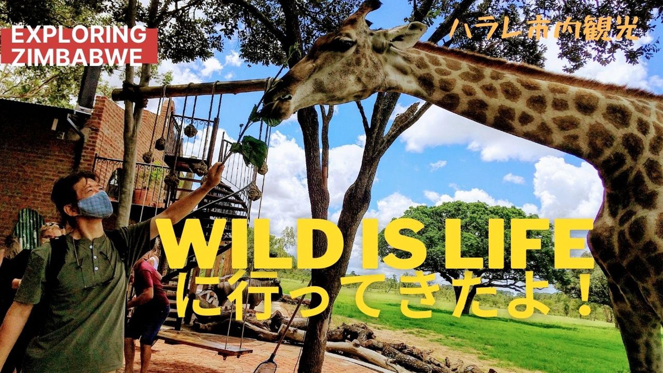 YouTube サムネイル-1