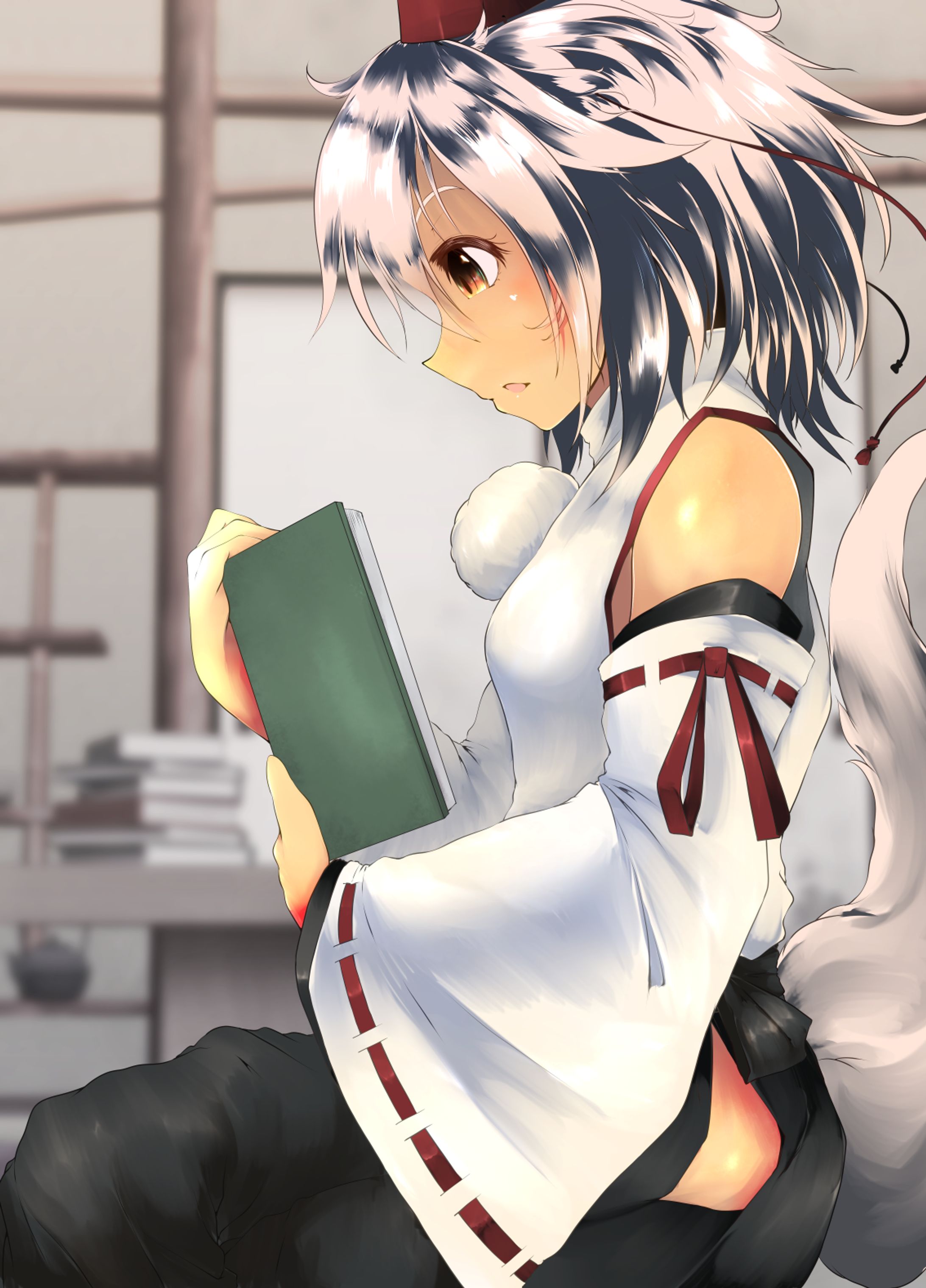 犬走椛-1