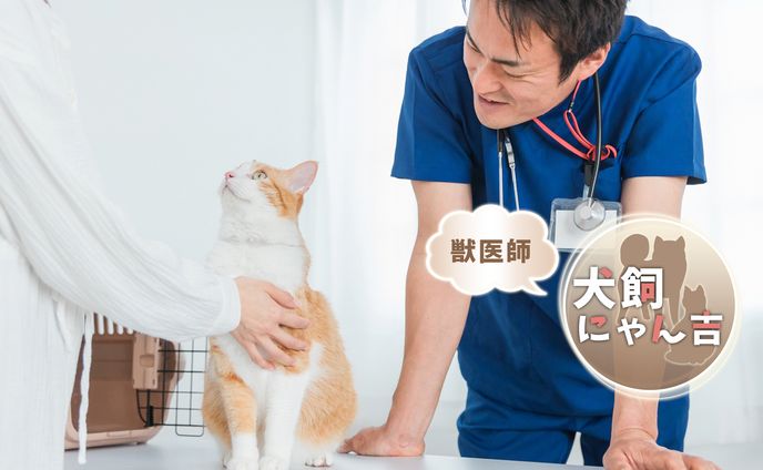 自己紹介プレート