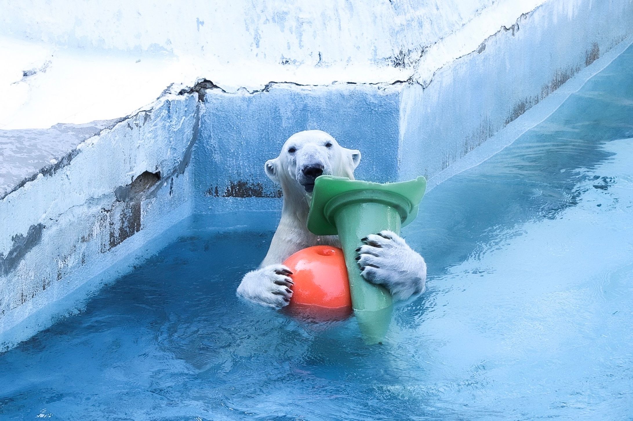 2018、大阪、冬-1