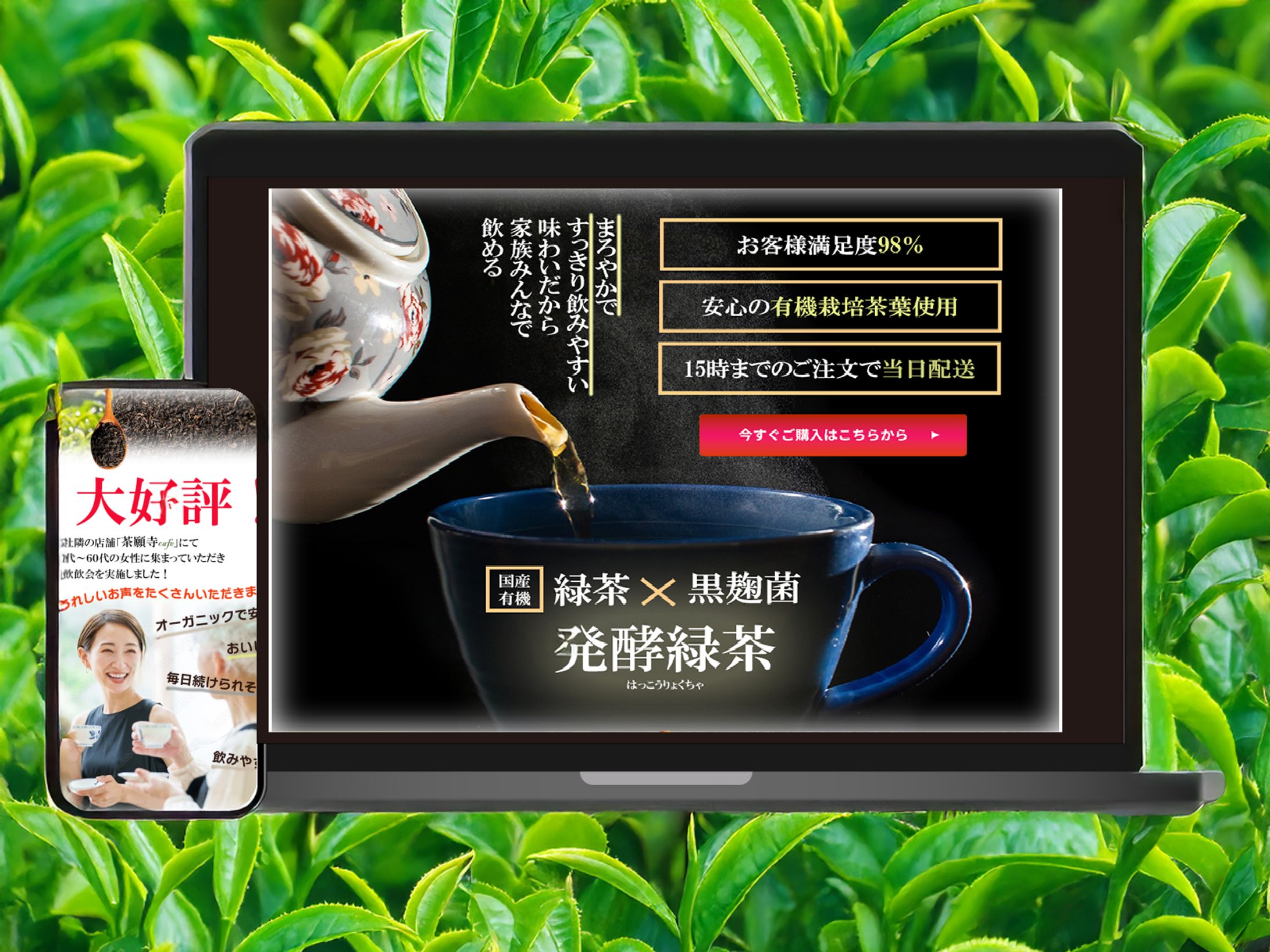 健康緑茶のランディングページ-1