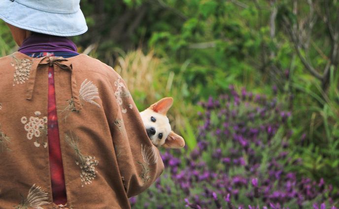 ＜第10回人と動物の絆フォトコンテスト一次審査通過作品＞初めてのお散歩が、一生の思い出に！