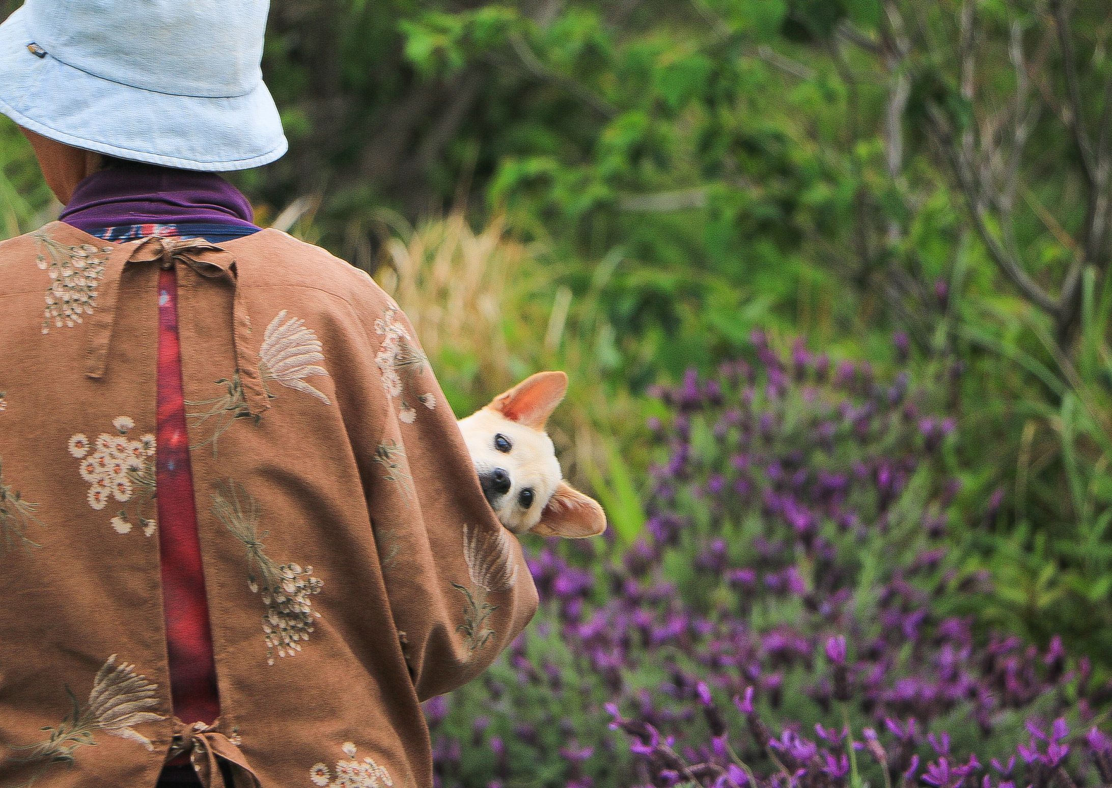 ＜第10回人と動物の絆フォトコンテスト一次審査通過作品＞初めてのお散歩が、一生の思い出に！-1