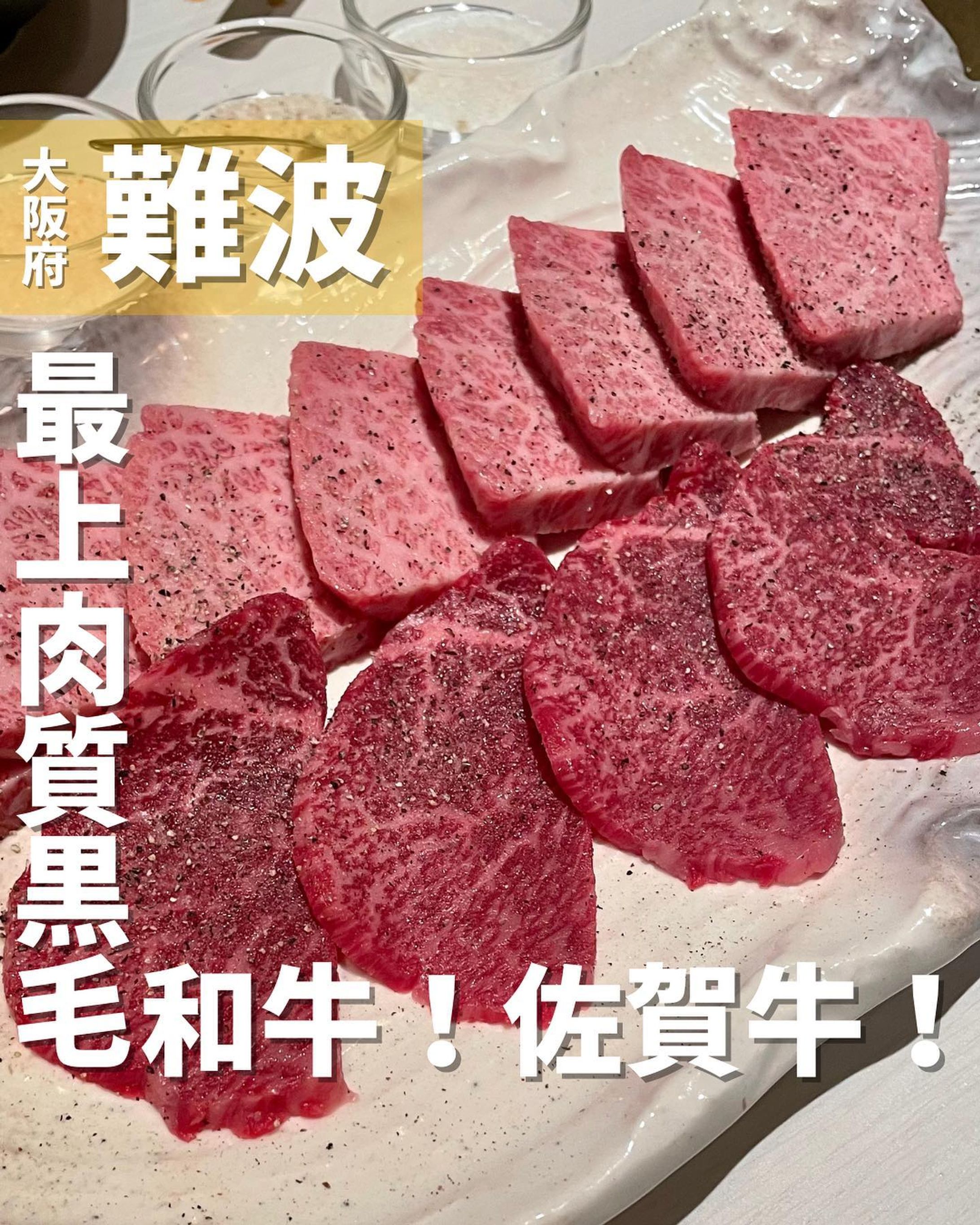 [毎日投稿]店舗情報↓↓
他の投稿はこちらです！▶︎ @taiki_gourmet 
「保存」で後で見返せるよ👀フォロー&いいね👍&コメントお待ちしております🤗
---------------------------
大阪へ帰省のたびに食べに行く最高の焼肉屋さんを紹介するよ🙌

《ポイント》
◆ この道50年の目利きで仕入れている厳選和牛！
◆佐賀牛をはじめとして牛肉だけで40種類のメニューを取り揃えている
◆無煙ロースター設置で煙を気にせず、明るく清潔感のある店内で高級焼肉が食べられる

《今回のご注文》(税込)
 ¥12,000  極みコース
 ¥1,480  石焼チーズ明太ビビンバ 〜ミニスープ付き〜
 ¥1,750  和牛炙り寿司3種盛り(赤身肉、中トロ肉、霜降り肉)

焼肉コースはもう言葉にならないくらい美味しく、最上肉質を味わうことができます🐃

個人的にはここの和牛炙り寿司🍣が大好きでペロリといけちゃいます😋

無煙ロースター設置店なので煙を気にせず、換気システムも抜群に良いのでコロナ禍でもお店で食べることに抵抗はありませんでした✨
個室があり清潔感がある店内で美味しい焼肉を楽しむことができ大満足です！

是非チェックしてみてね☝️

〇⚫︎〇⚫︎店舗情報〇⚫︎〇⚫︎
📍：黒毛和牛焼肉 肉處 きっしゃん なんば店　@kissyan_nanba_takashimaya @kisshanbeef 
　　大阪府大阪市中央区難波5-1-18 なんばダイニングメゾン 8F
🚉：南海難波駅徒歩3分
　　高島屋大阪店8階
📞：06-6633-8129
🕘：11:00～23:00(L.O.22:00)　
💤：なし(高島屋大阪店の休館日に準ずる)
💰：¥8,000〜9,999
他 ：予約可、個室有(2,4,6,8,10-20人可)、最大51席
---------------------------
#きっしゃん #なんばグルメ #グルメ #なんば #難波グルメ #難波 #高島屋大阪店 #焼肉 #黒毛和牛 #和牛炙り寿司-1