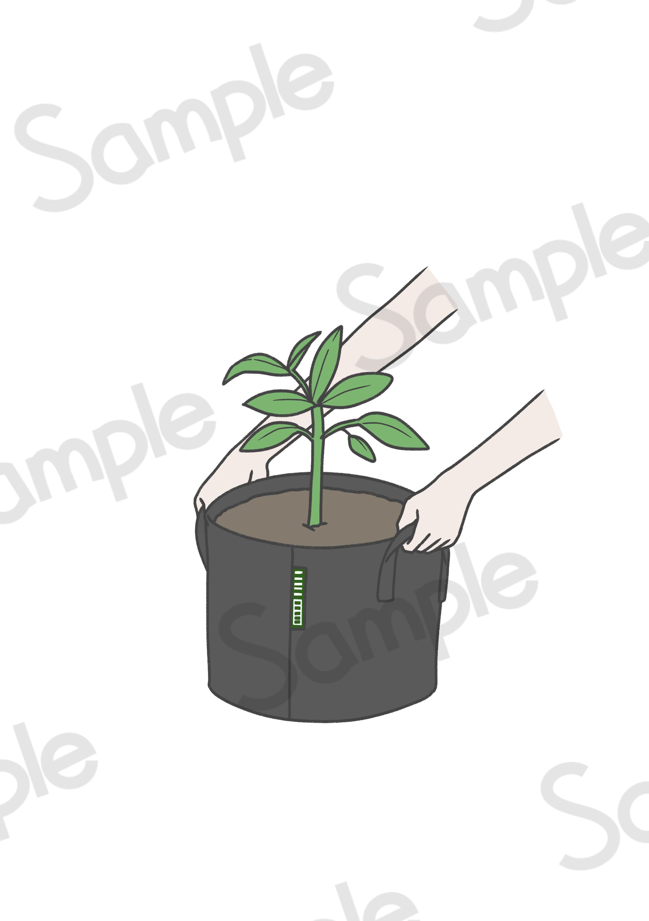 Urban Leaf様　不織布プランター　パッケージイラスト-1