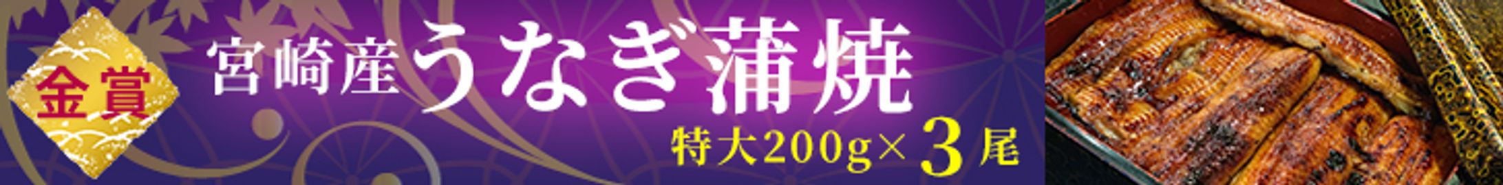 ECサイトバナー「宮崎産うなぎ蒲焼」広告制作-1