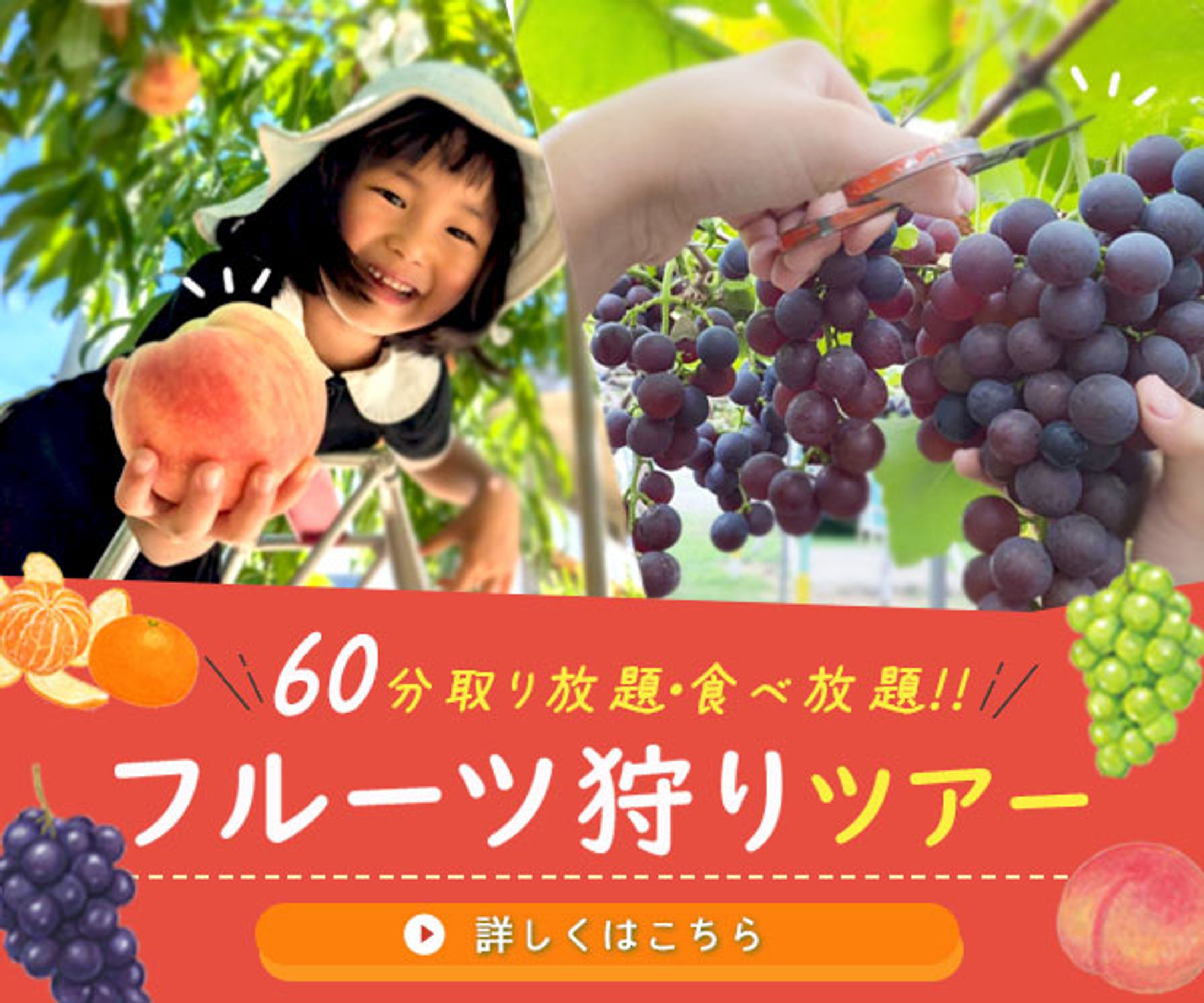 フルーツ狩りツアー-1