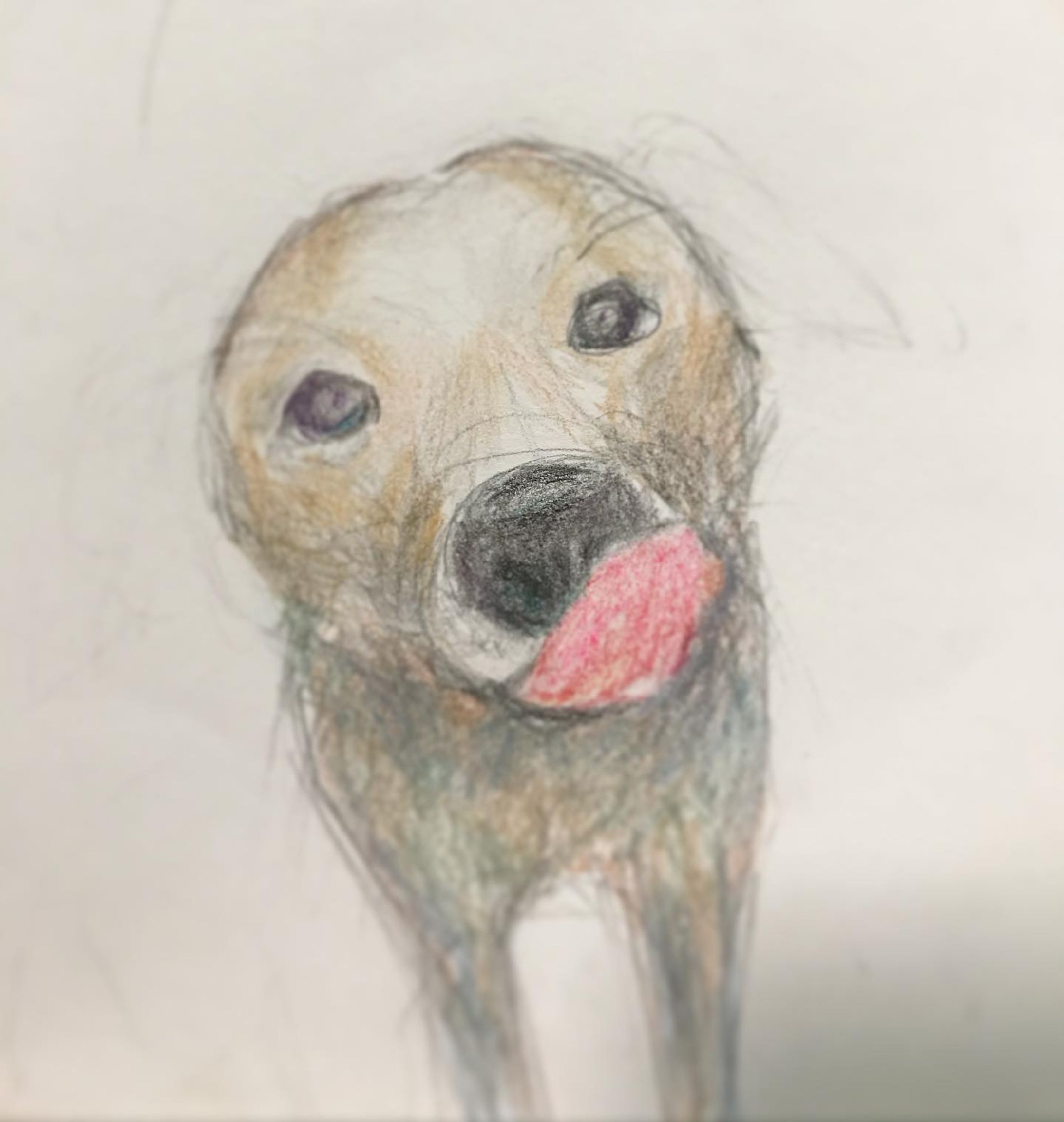 kiss me

#甲斐犬 #甲斐犬愛護会展覧会  #甲斐犬愛護会 #甲斐犬愛護展覧会 #日本犬 #柴犬 #japanesedog  #狩猟犬 #いぬすたぐらむ #shibadog　
#artwork #artist #artsy #artistic #paint #painting #watercolorpainting #colors #color #pencil #色鉛筆
#Illustration #illust #watercolor #一个例证  #图片 #イラスト #水彩 #水彩画-1