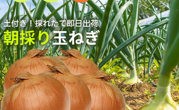 楽天商品ページ+オープン審査通過請負