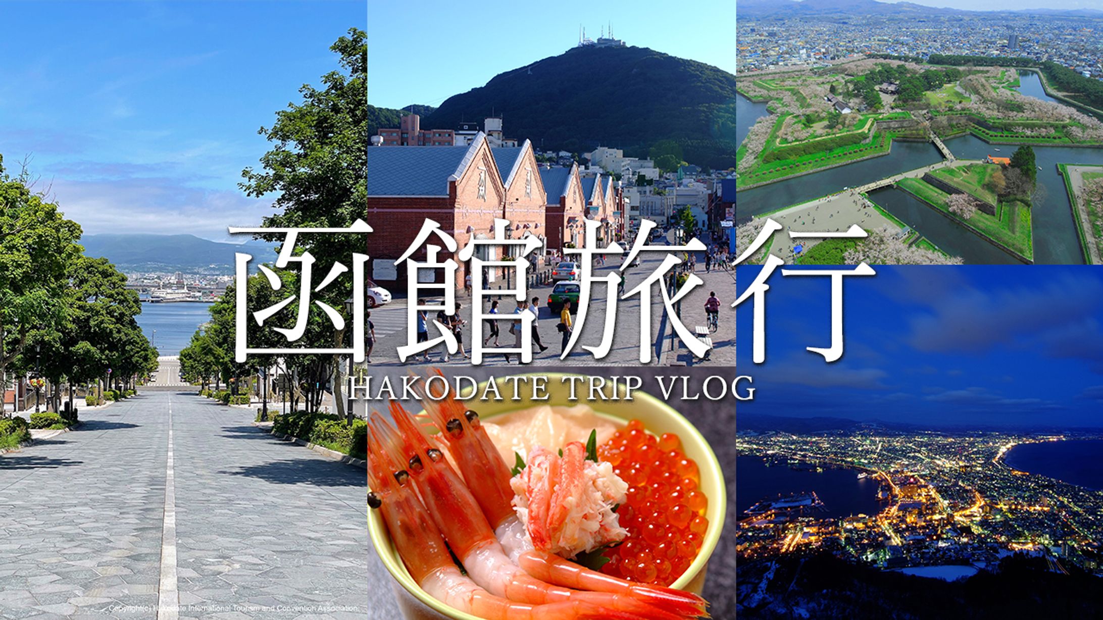 【サムネイル】旅行Vlog-1