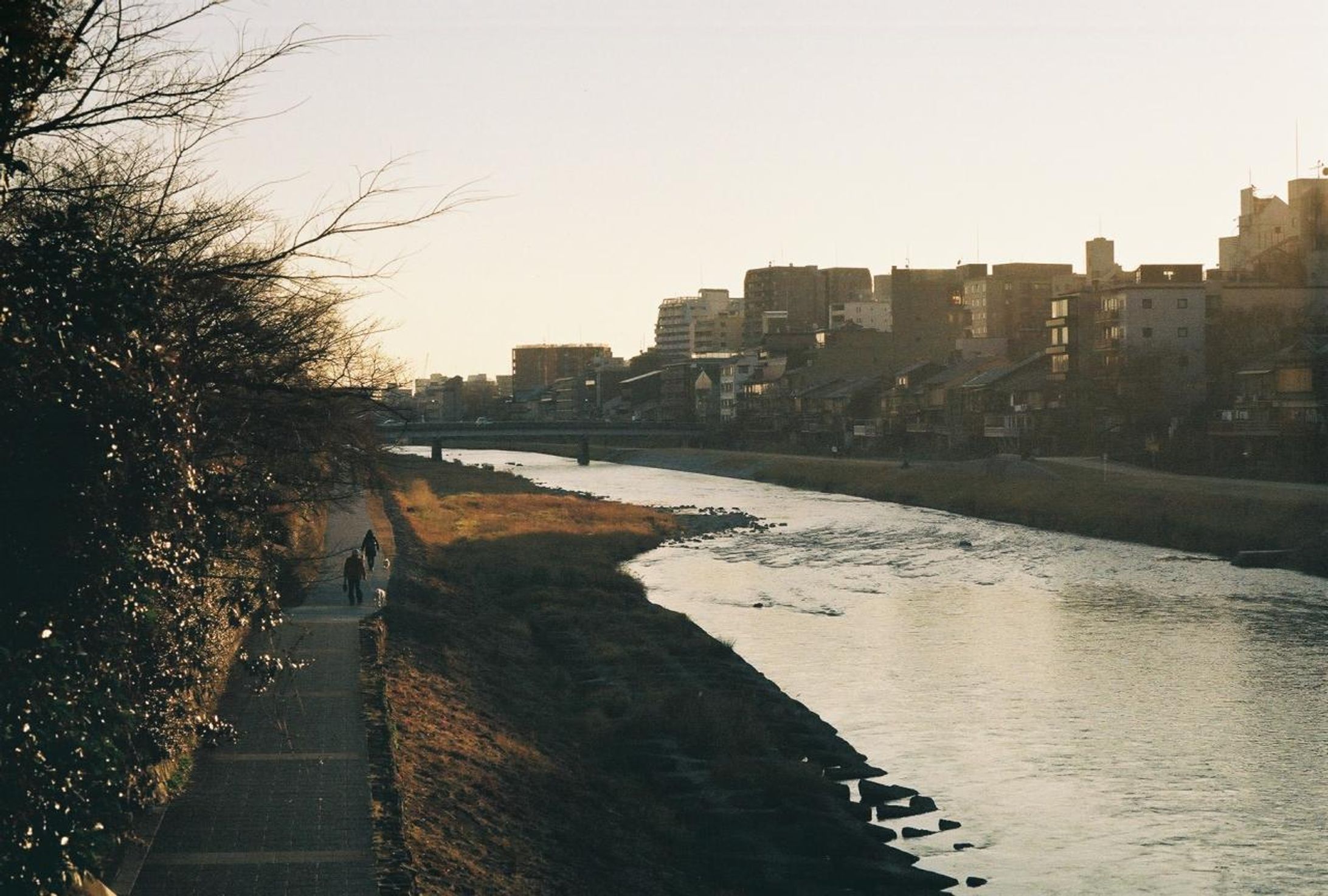 50904B4C C297 4868 B919 E9B7A955232F-1