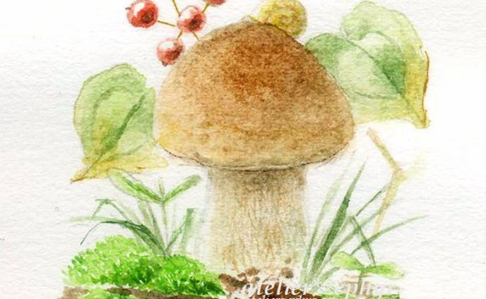 手のひらサイズの原画作品