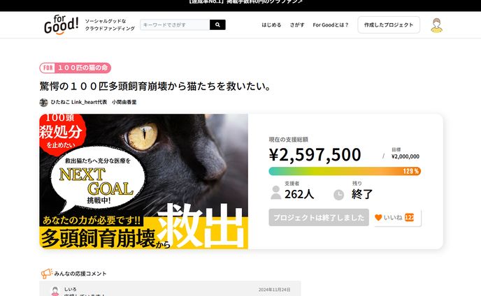 保護猫団体様　クラウドファンディング
