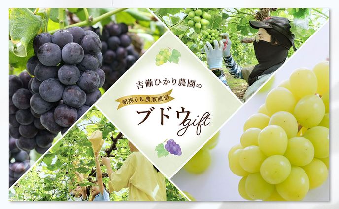 [works]Yahoo!ショッピングのshopバナー