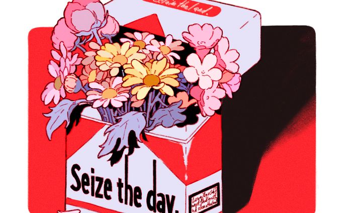 Seize the day