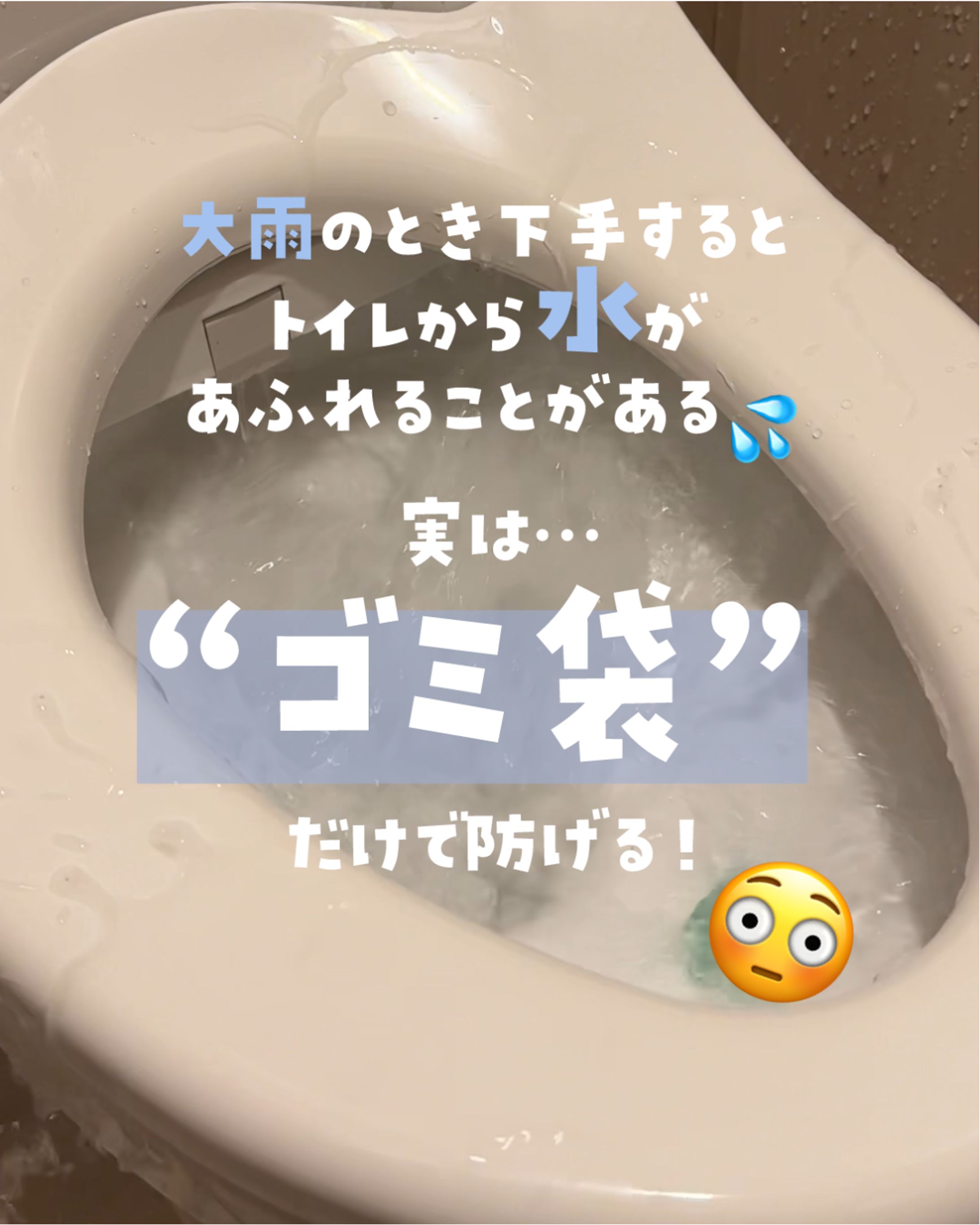 Instagramの投稿フィード-1