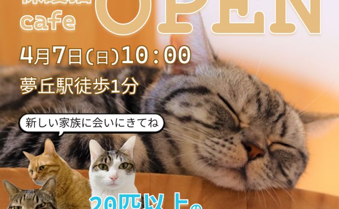 (架空お題)保護猫カフェバナー