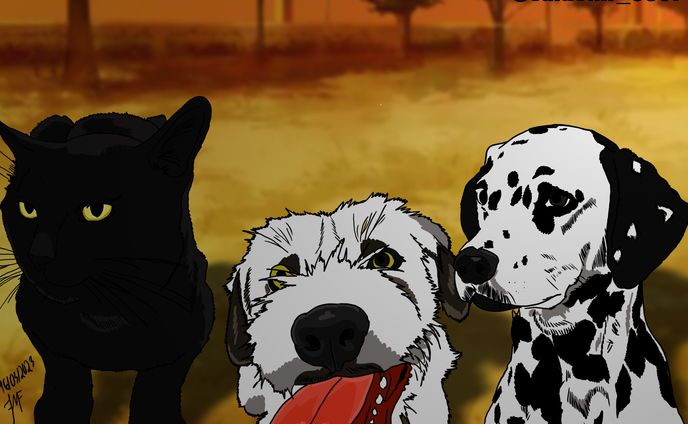 Caricature Pets 