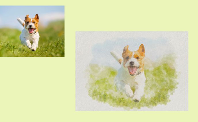dog2