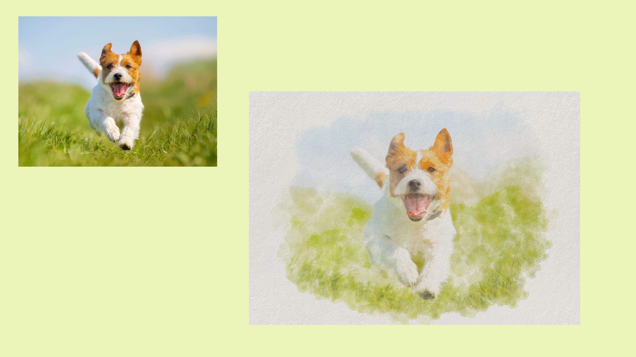 dog2-1