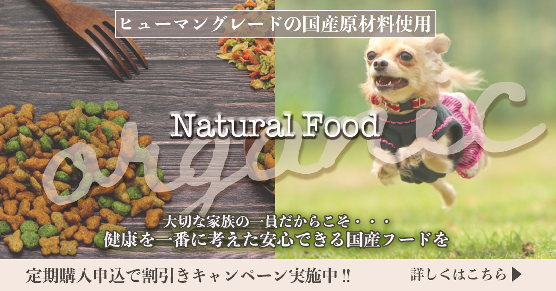 organic Natural Food-1