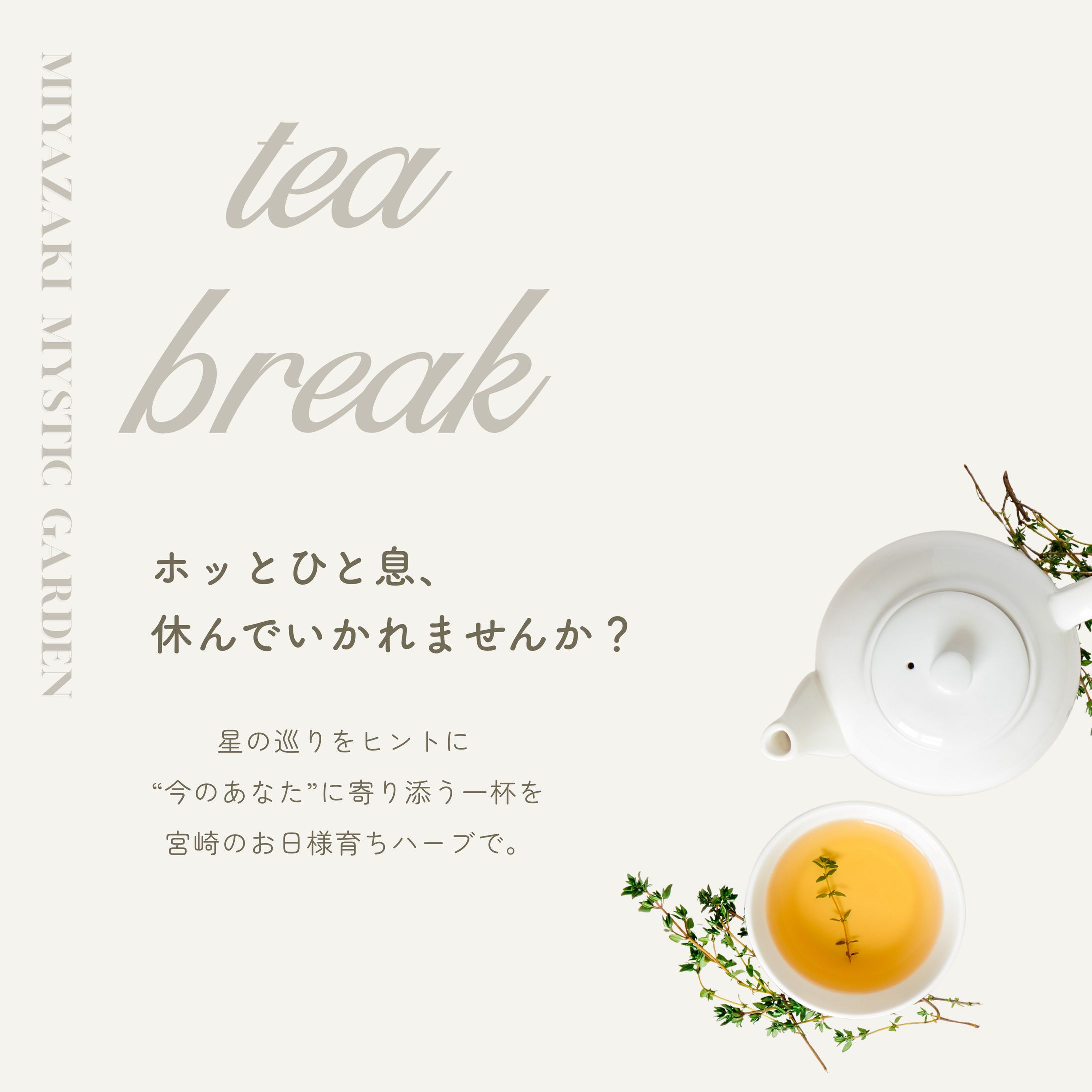 SNS用広告バナー(正方形２)-1