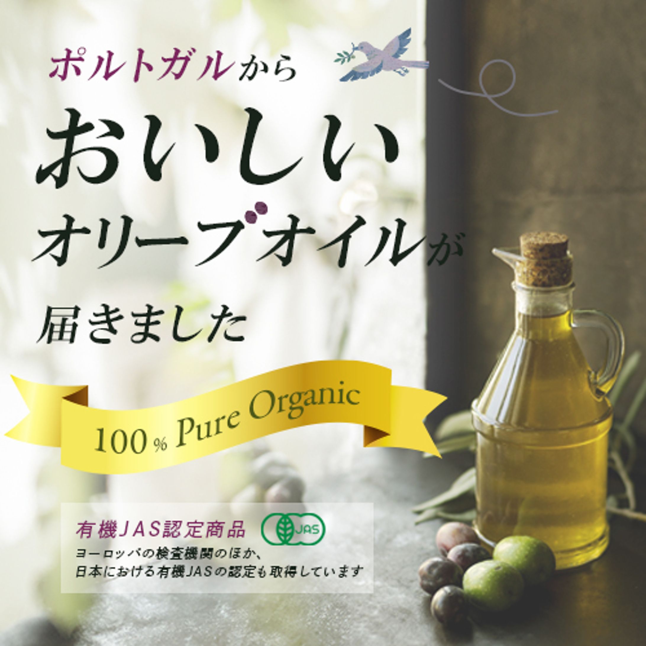 【食品】輸入オリーブオイル　バナー-1