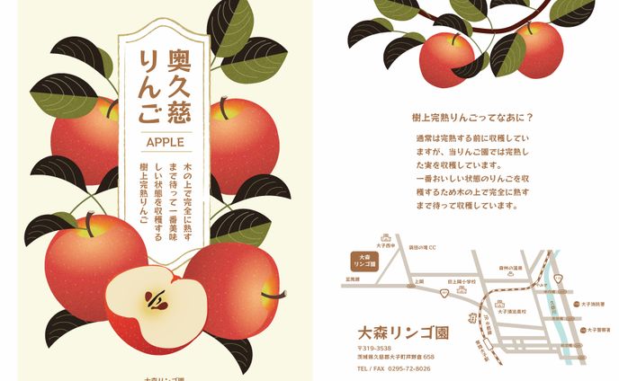 フライヤー制作  - 奥久慈リンゴ -