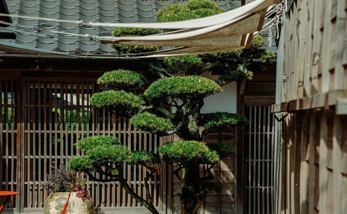 福井県の三国の日本海沿いにあるレストランの＠lull_mikuni の７周年の周年祭スタッフとしてエルブランシェの小川シェフよりお声がけ頂きました。

自分は周年祭が終わった後も，5月の7日までLULLのスタッフとして参加させて頂いたのですが，

最初その地に足を踏み入れた時はとても驚いた事には今でも鮮明に覚えています

僕の故郷である秋田の男鹿とどこかとても似ていて，この懐かしい風景の街並みにフレンチのレストランがある事にとても衝撃を受けました

シェフの高橋シェフはまだ若いながらも繊細で独創的なお料理，マネージャの鈴木さんの所作やおもてなす姿勢，パティシエの澤田さんの美しいデザート

とても素晴らしくて，地方にこんなにレベルが高いレストランがあるなんて

もう毎日刺激ばかりで，どちらかというと勉強させていただくことが多かったような気がしました笑

明日で最後なのが早すぎる，，，

また絶対行きます！三週間ありがとうございました！