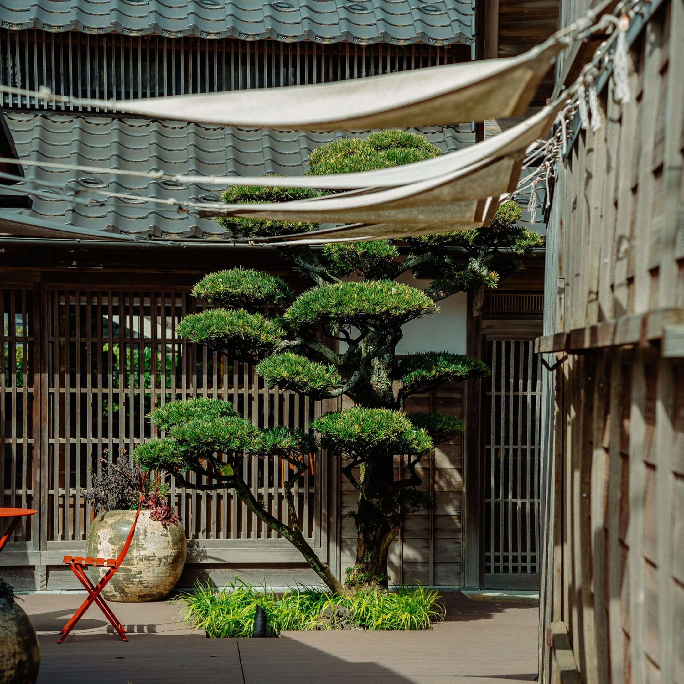 福井県の三国の日本海沿いにあるレストランの＠lull_mikuni の７周年の周年祭スタッフとしてエルブランシェの小川シェフよりお声がけ頂きました。

自分は周年祭が終わった後も，5月の7日までLULLのスタッフとして参加させて頂いたのですが，

最初その地に足を踏み入れた時はとても驚いた事には今でも鮮明に覚えています

僕の故郷である秋田の男鹿とどこかとても似ていて，この懐かしい風景の街並みにフレンチのレストランがある事にとても衝撃を受けました

シェフの高橋シェフはまだ若いながらも繊細で独創的なお料理，マネージャの鈴木さんの所作やおもてなす姿勢，パティシエの澤田さんの美しいデザート

とても素晴らしくて，地方にこんなにレベルが高いレストランがあるなんて

もう毎日刺激ばかりで，どちらかというと勉強させていただくことが多かったような気がしました笑

明日で最後なのが早すぎる，，，

また絶対行きます！三週間ありがとうございました！-1