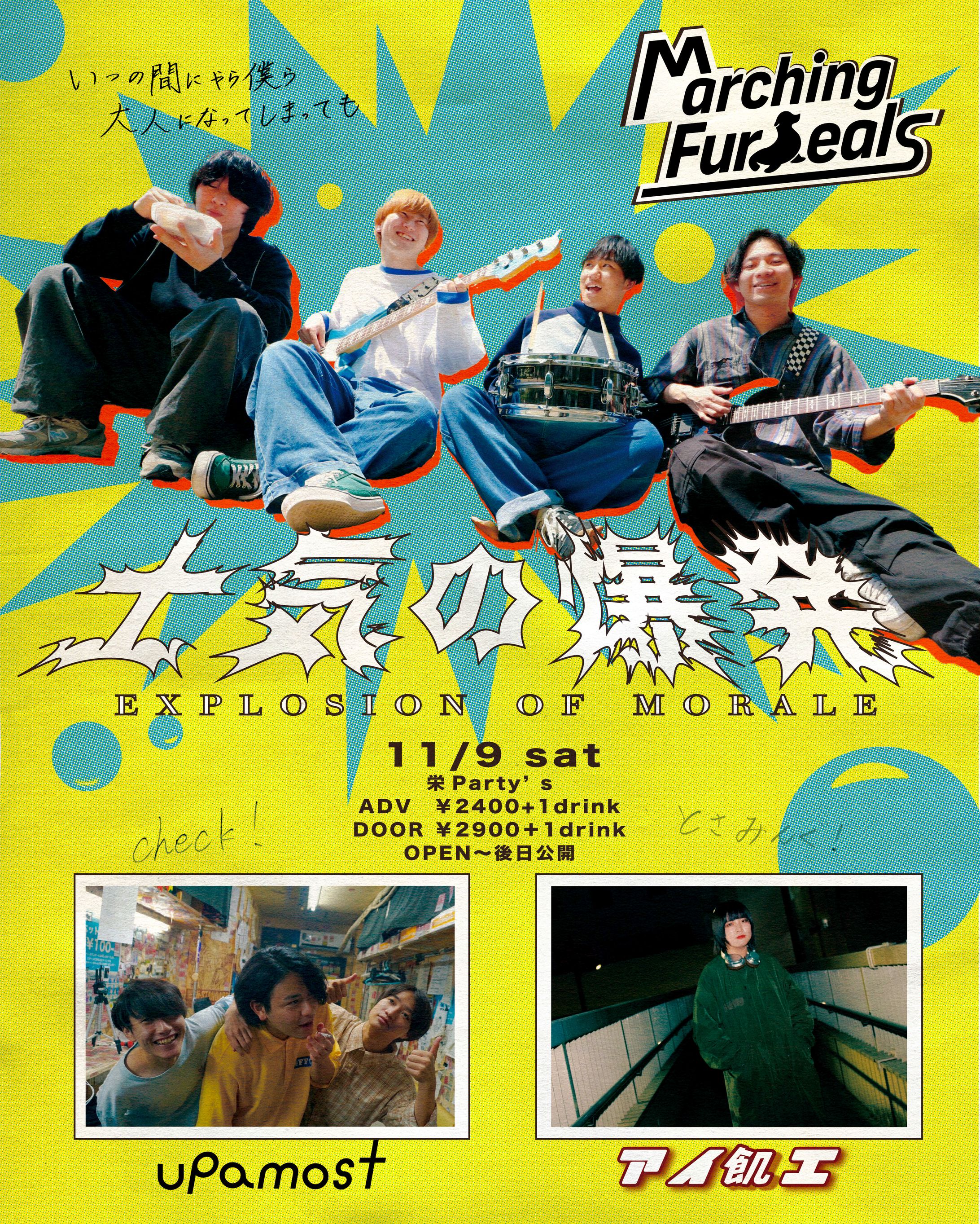 marching fur seals ライブフライヤー-1