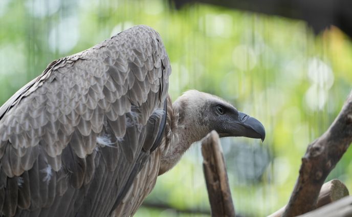上野動物園にて