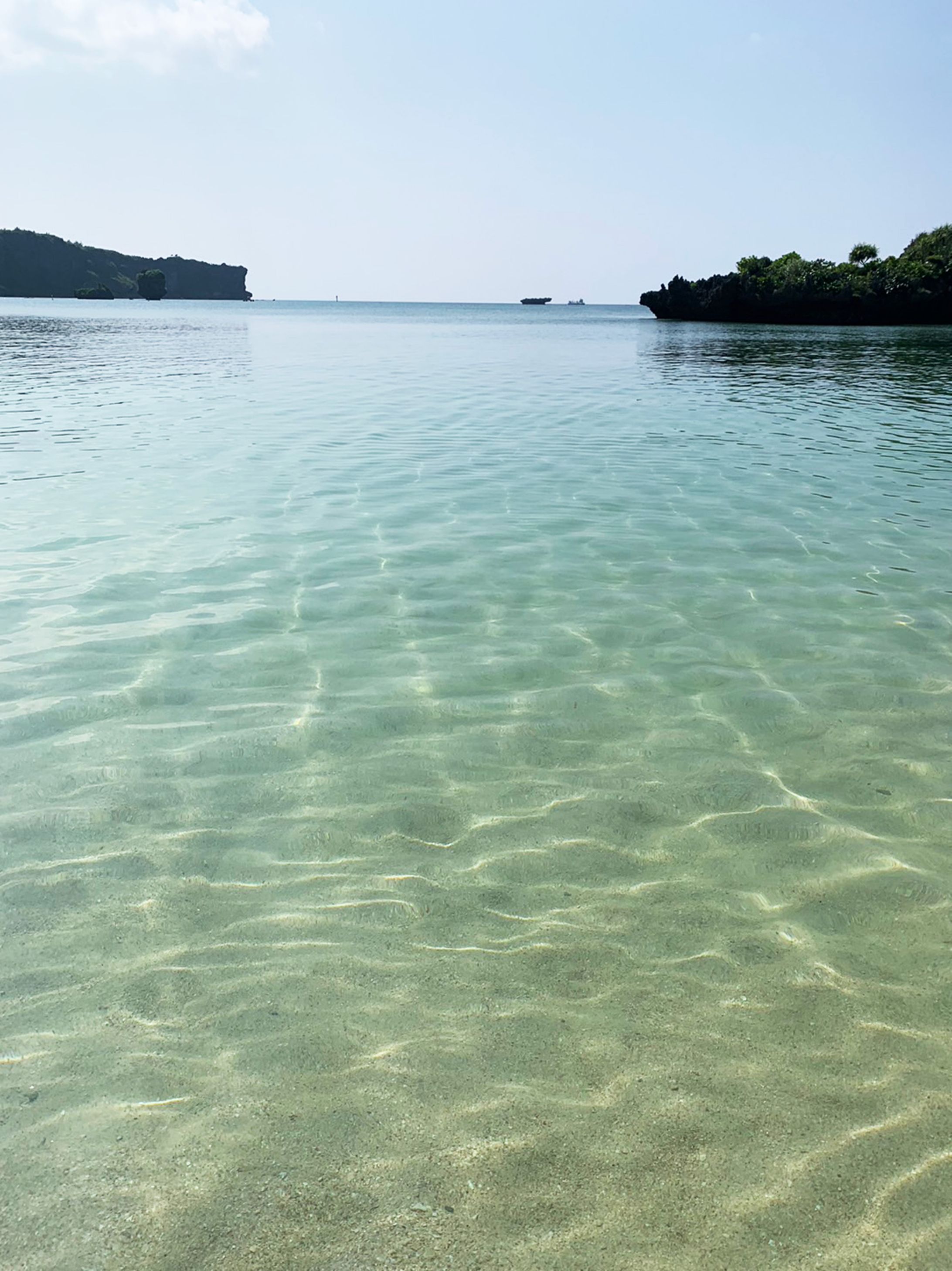 ヘッダー画像-1