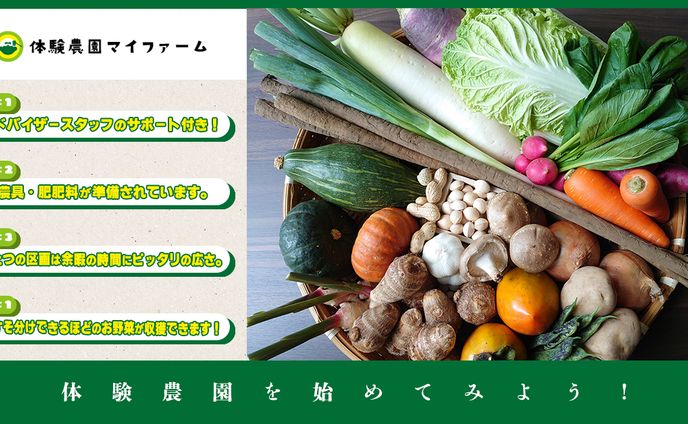 動画編集、地域