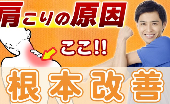医療健康系サムネイル