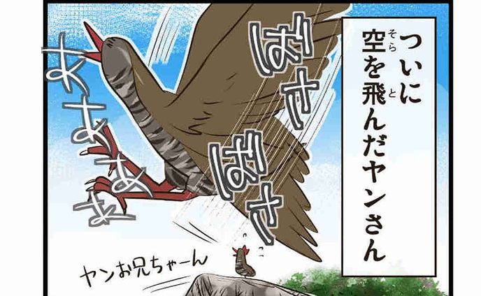 #28「ヤンさんの昔・運命の日③」

飛べない鳥・ヤンバルクイナを超える…！

------------------------------

沖縄に住む、太ったヤンバルクイナのヤンさんは、愉快な仲間たちと沖縄の自然豊かなヤンバルで暮らしてます。

おきオタ！サイトで更新中
※詳細はプロフィールのリンクから【おきオタ！】をチェック！

http://okiota.jp/

#4コマ漫画 #おきオタ #沖縄情報 #観光 #ヤンバルクイナ #やんばる #やんばるヤンさん