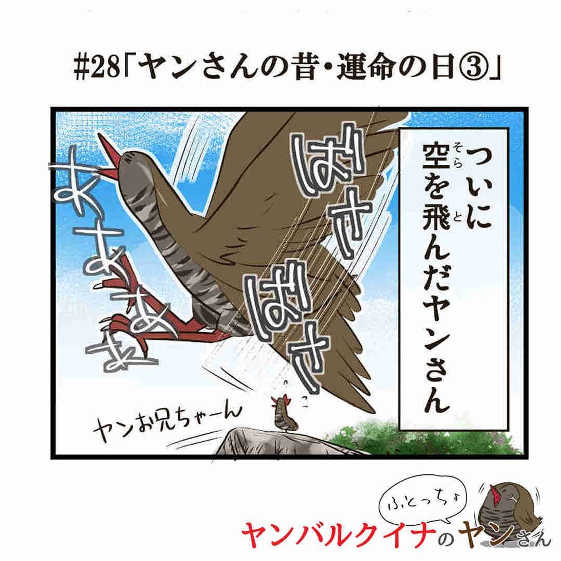 #28「ヤンさんの昔・運命の日③」

飛べない鳥・ヤンバルクイナを超える…！

------------------------------

沖縄に住む、太ったヤンバルクイナのヤンさんは、愉快な仲間たちと沖縄の自然豊かなヤンバルで暮らしてます。

おきオタ！サイトで更新中
※詳細はプロフィールのリンクから【おきオタ！】をチェック！

http://okiota.jp/

#4コマ漫画 #おきオタ #沖縄情報 #観光 #ヤンバルクイナ #やんばる #やんばるヤンさん-1