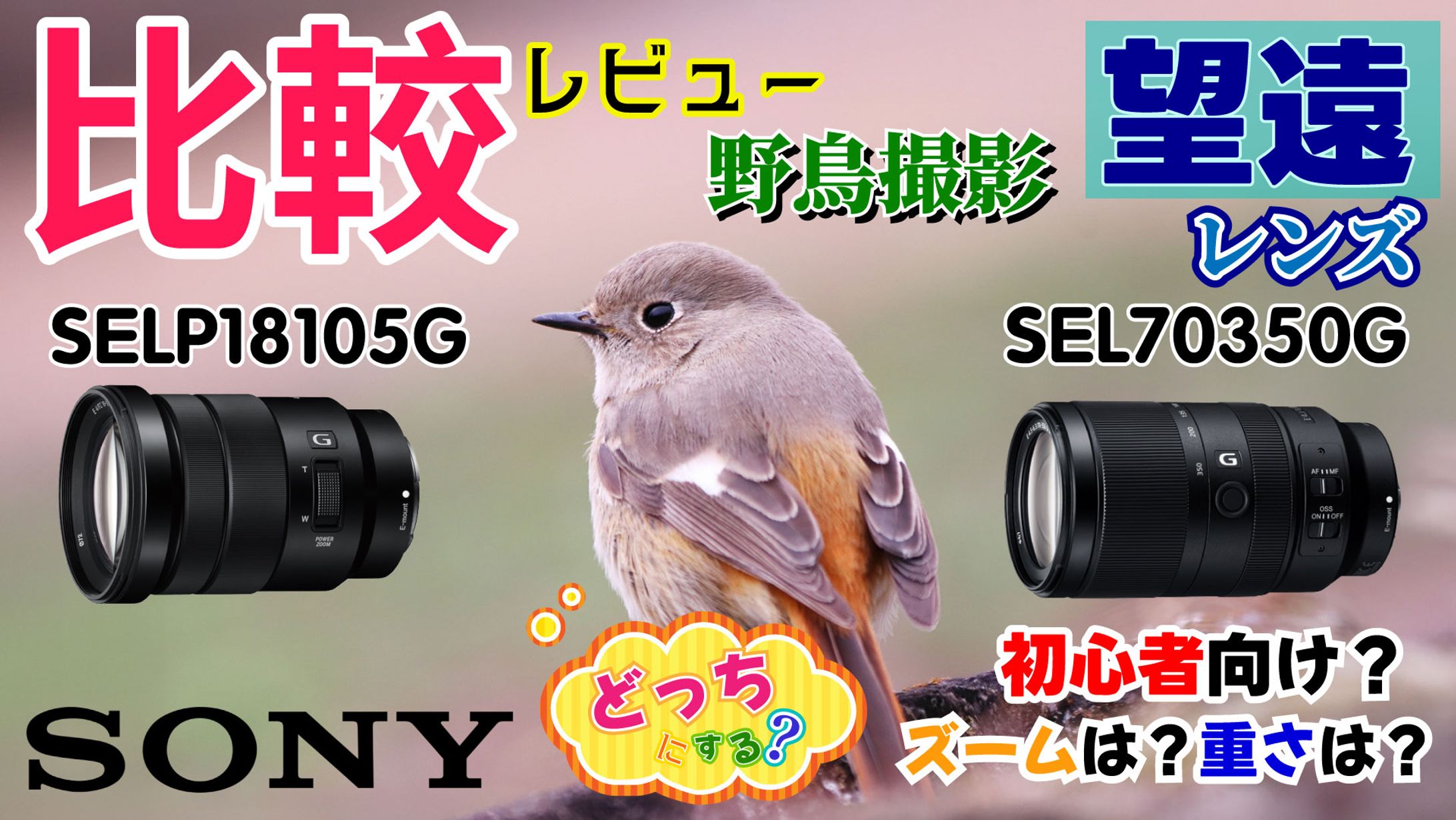 Youtube用サムネイル-1