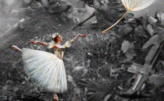 「戦場のバレリーナ」