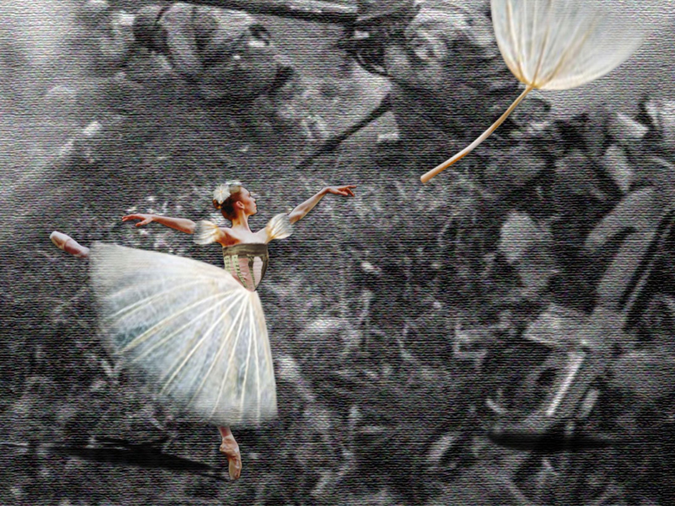 「戦場のバレリーナ」-1