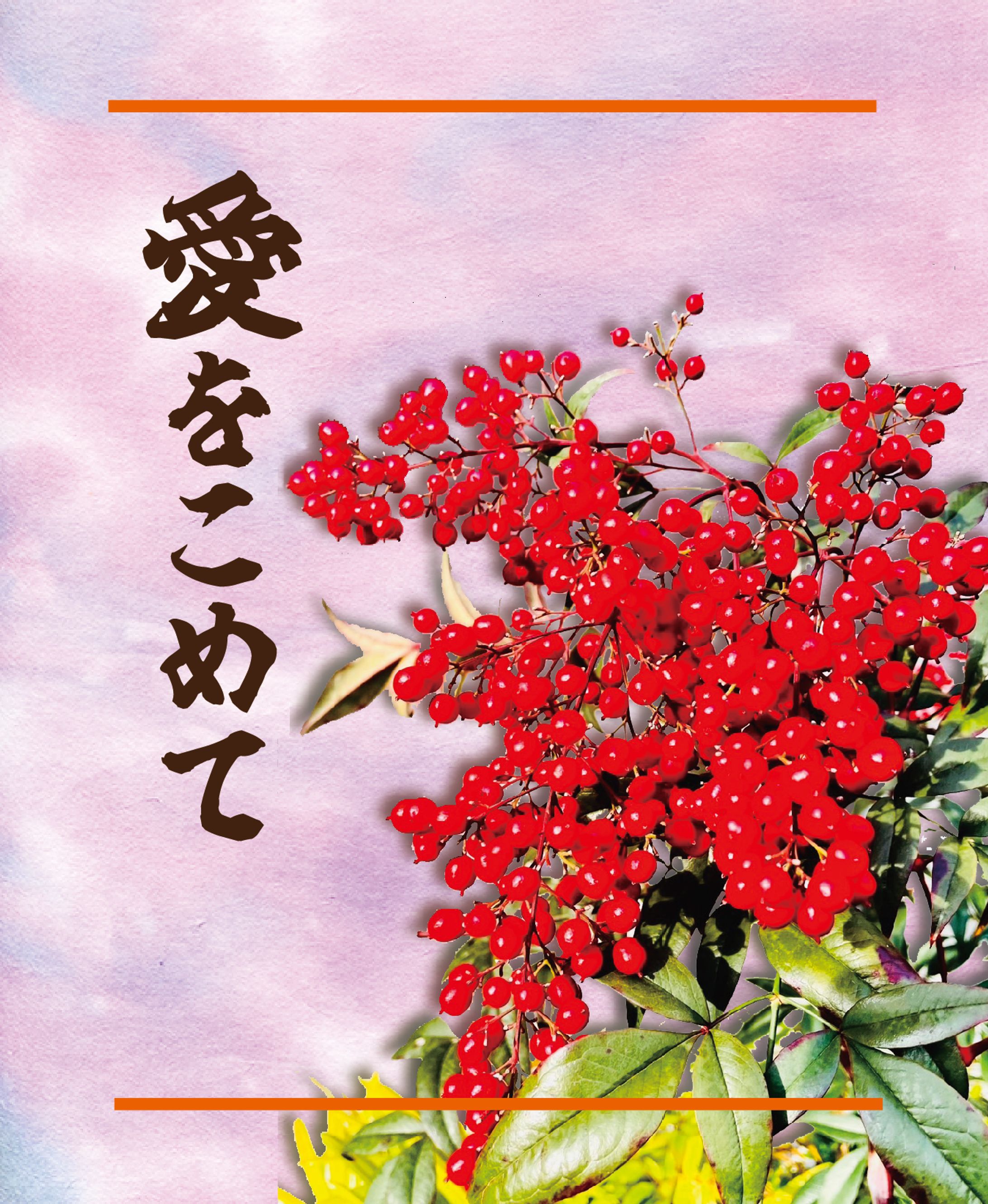 お茶のパッケージデザイン-1