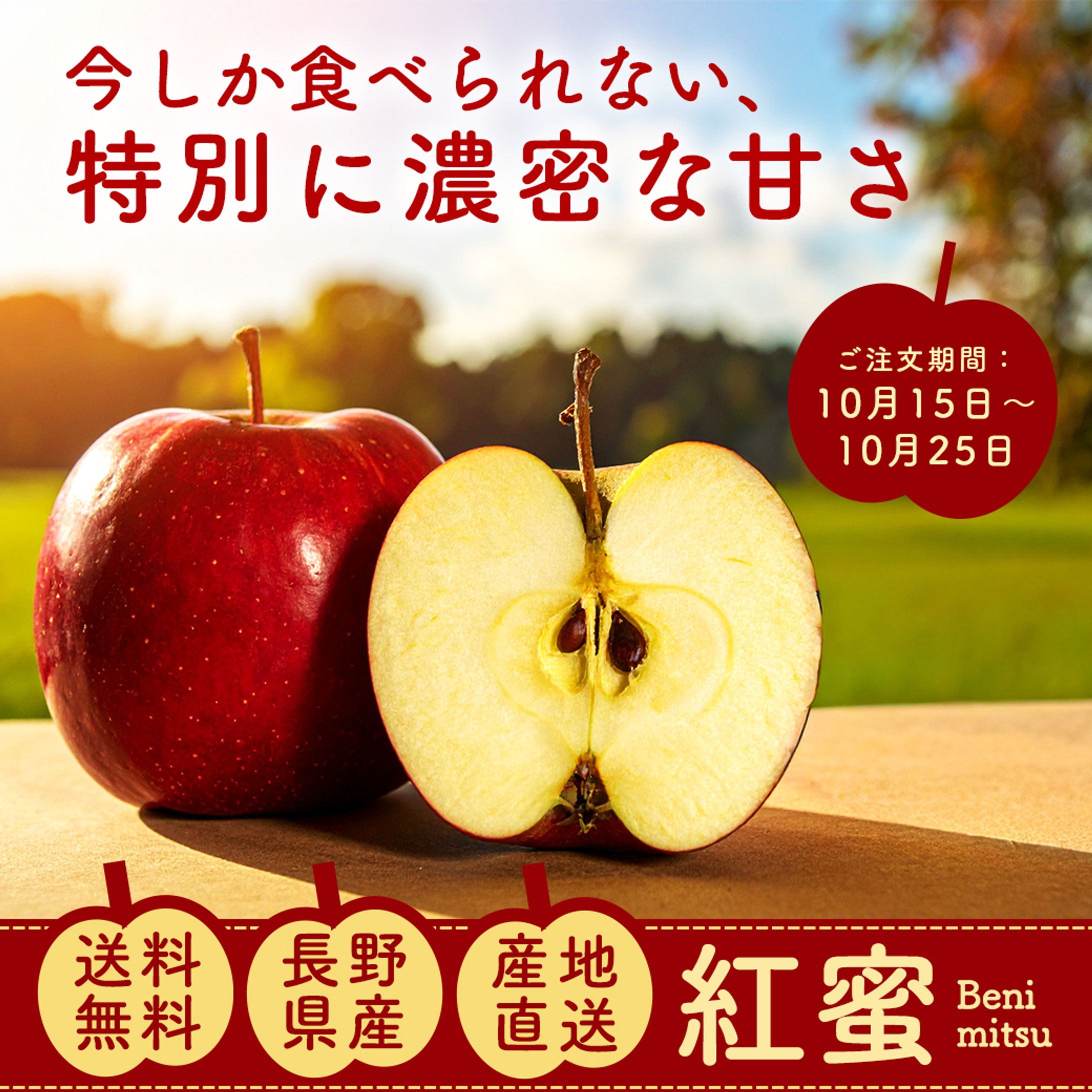 長野リンゴ(仮想商品画像)テイスト別-1