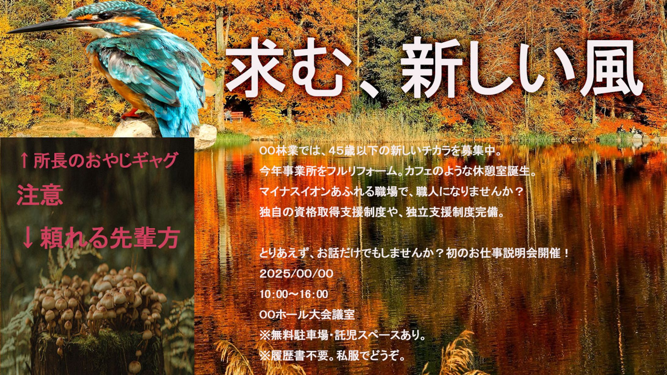 秋の求人広告-1