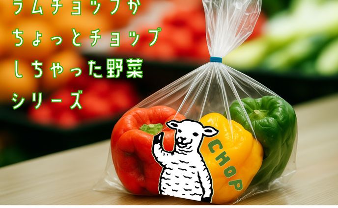 販促コンペ 応募作品（2025年・第17回）