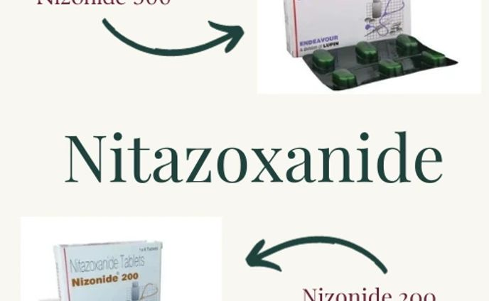 Understanding the Benefits of Nizonide for Gut Health and Immunity