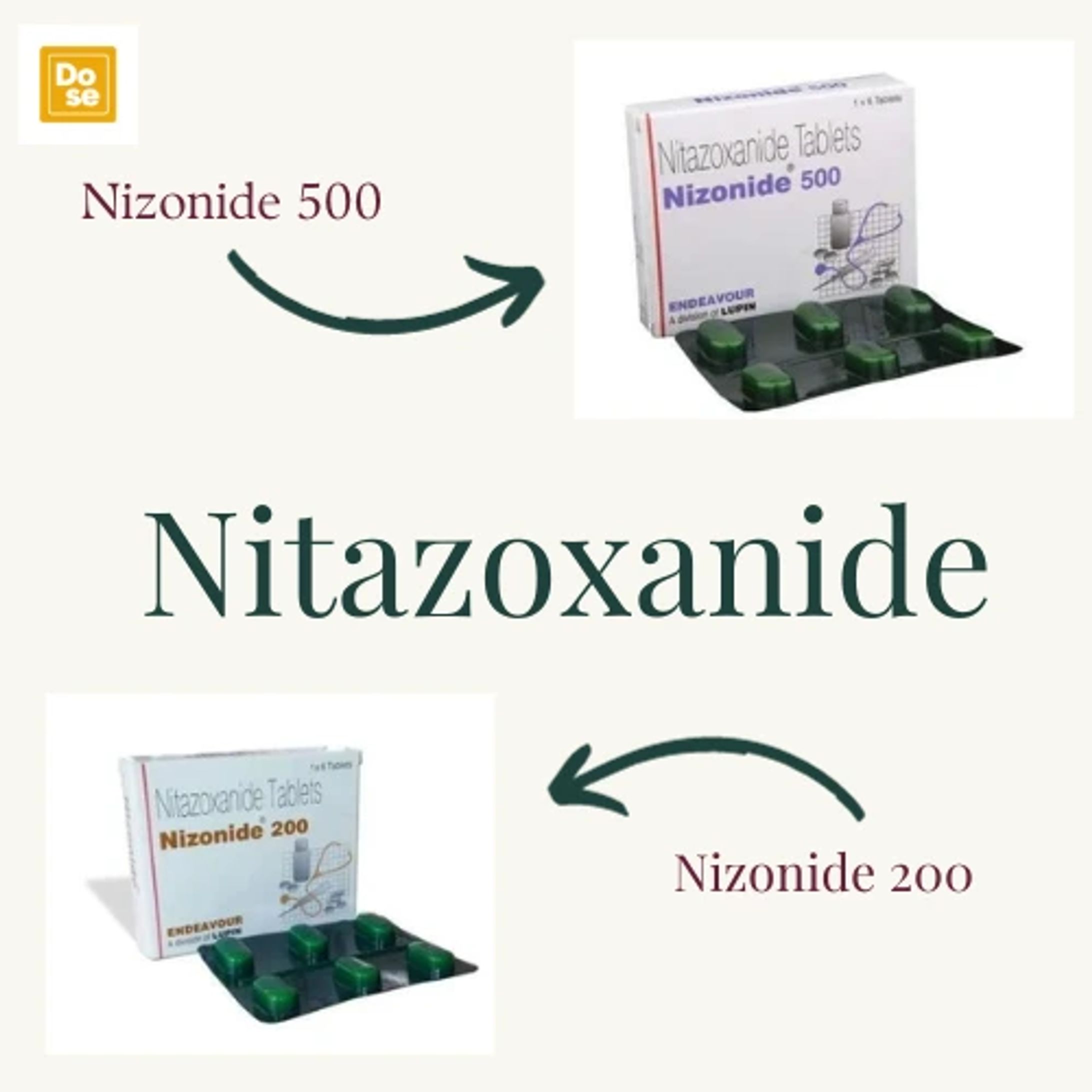 Understanding the Benefits of Nizonide for Gut Health and Immunity-1